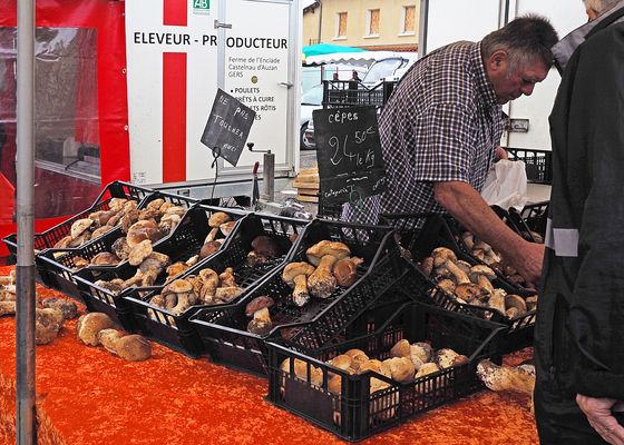 …pas facile de passer son chemin !