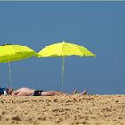 Pas la peine d’avoir deux parasols… !