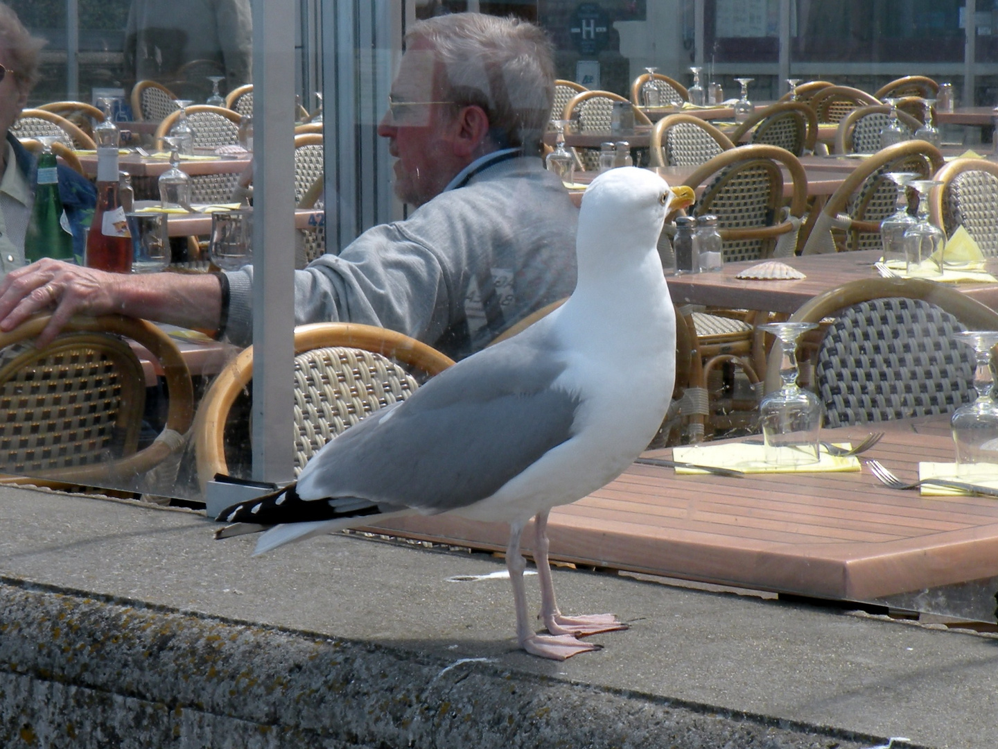 "pas mal le resto" !!