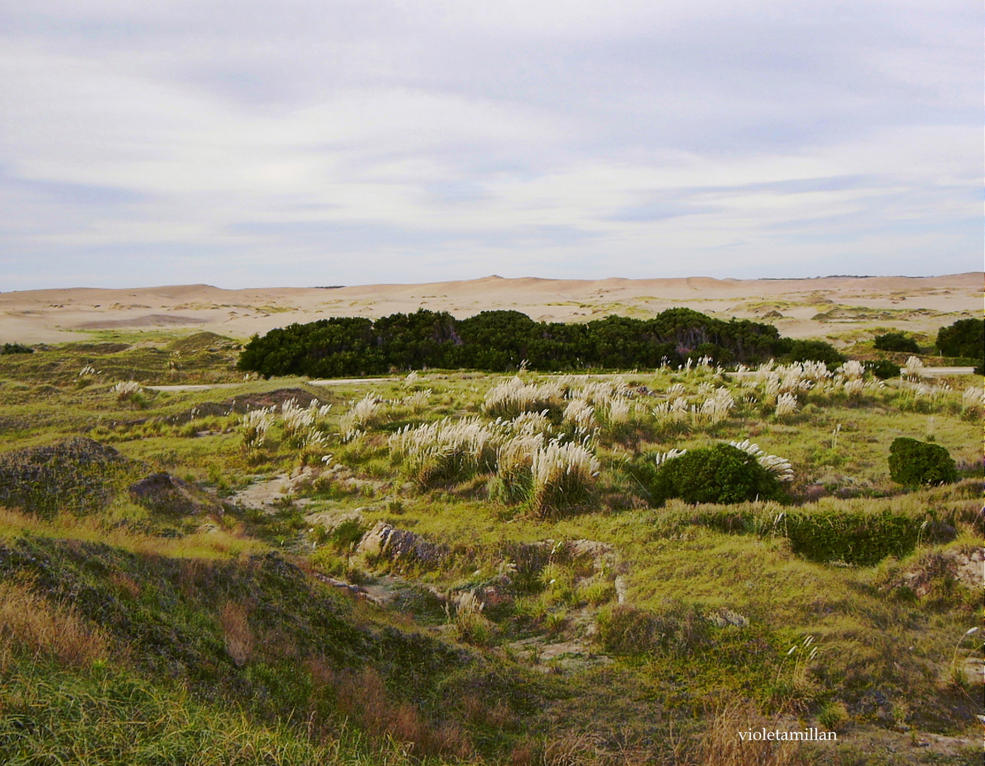 PASANDO LAS DUNAS,EL OCEANO ATLANTICO