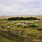 PASANDO LAS DUNAS,EL OCEANO ATLANTICO