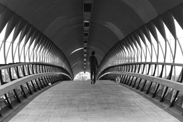 pasarela, paseando al perro. 