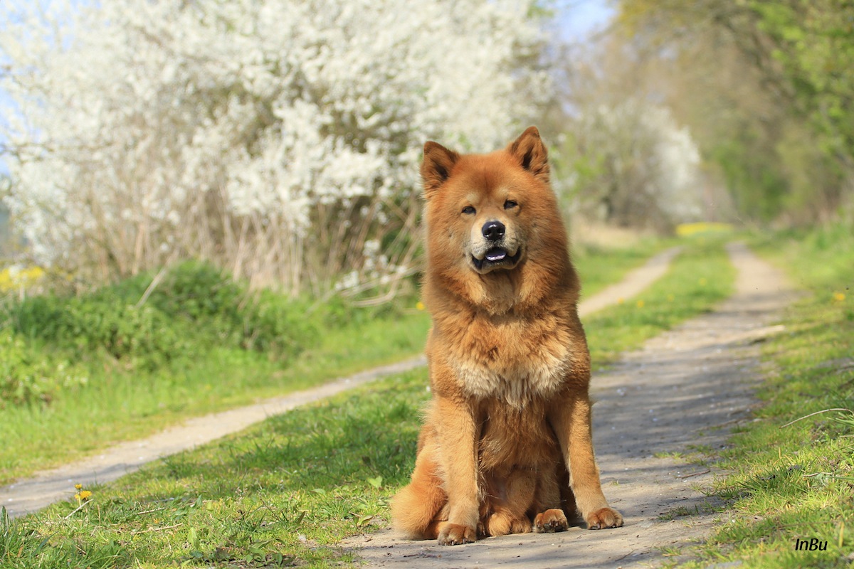 Pascha im Frühling