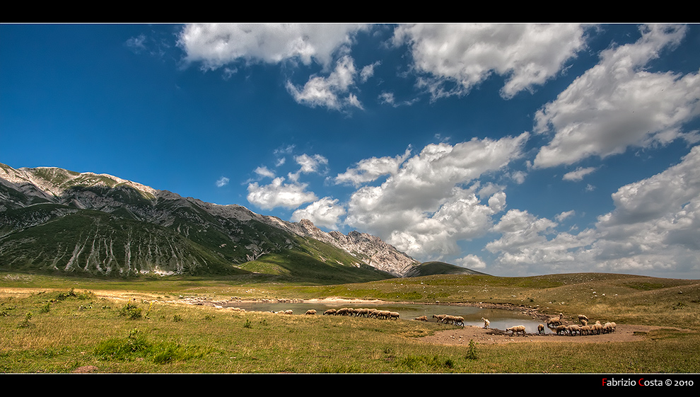 Pascoli d'alta quota