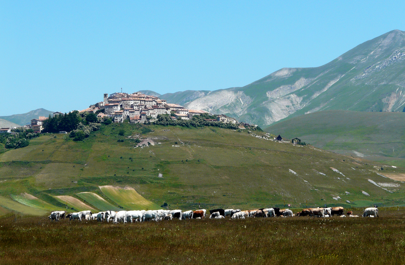 PASCOLI D'ALTURA