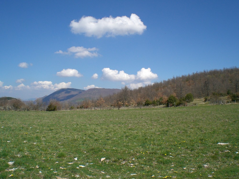 Pascoli montani a primavera