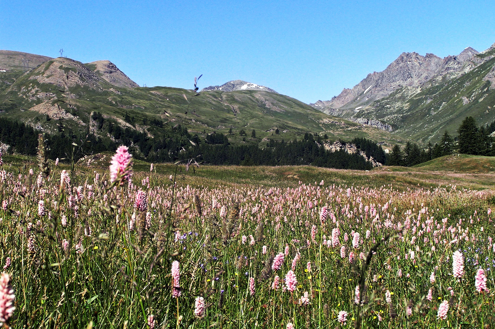 Pascolo in alta montagna Foto Immagini paesaggi, natura Foto su Pascolo in alta montagna Foto Immagini paesaggi, natura Foto su