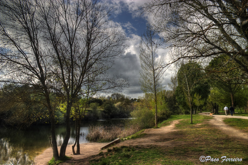 Paseando