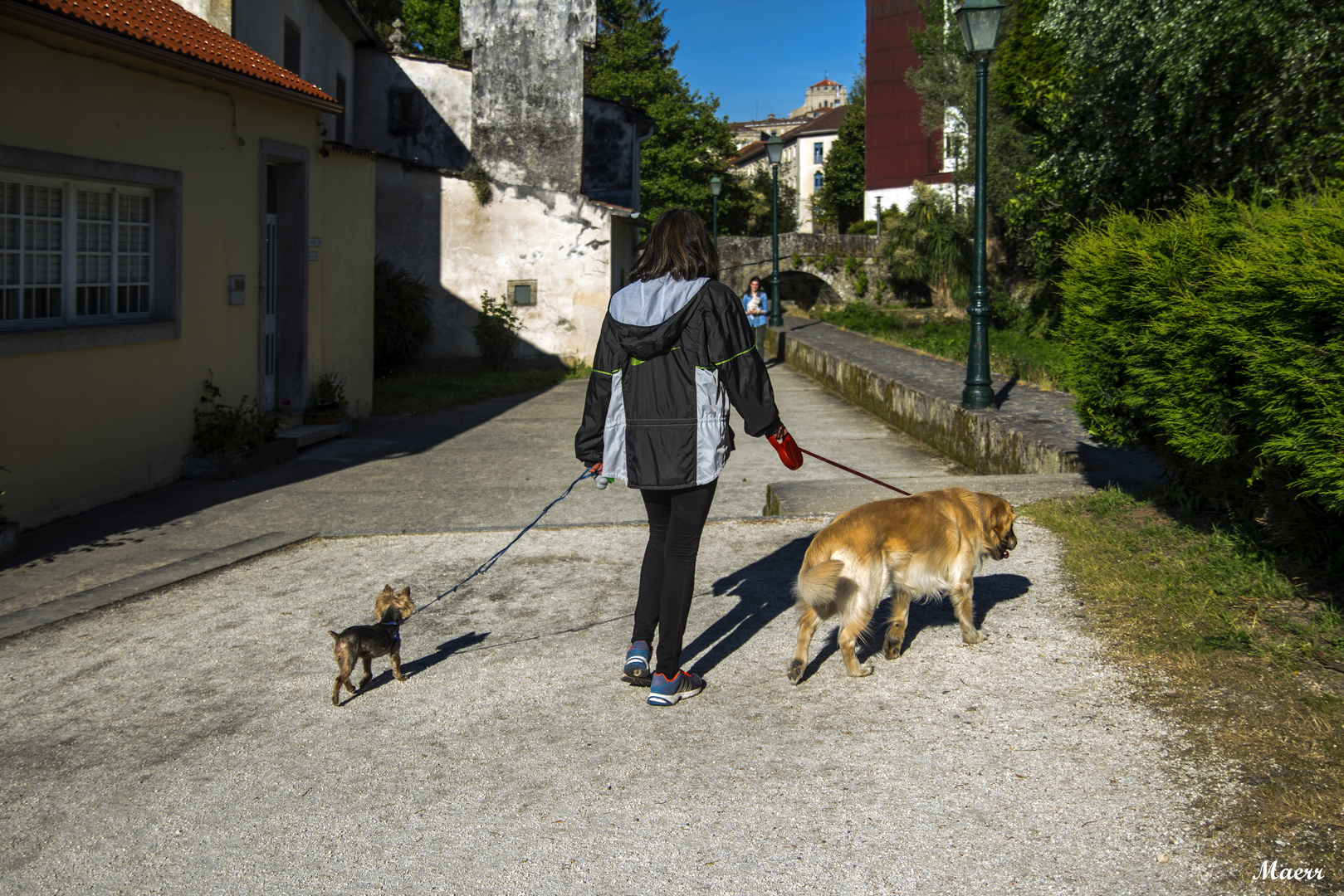 Paseando con sus migos