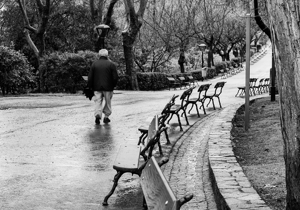 Paseando despues de la lluvia