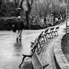 Paseando despues de la lluvia