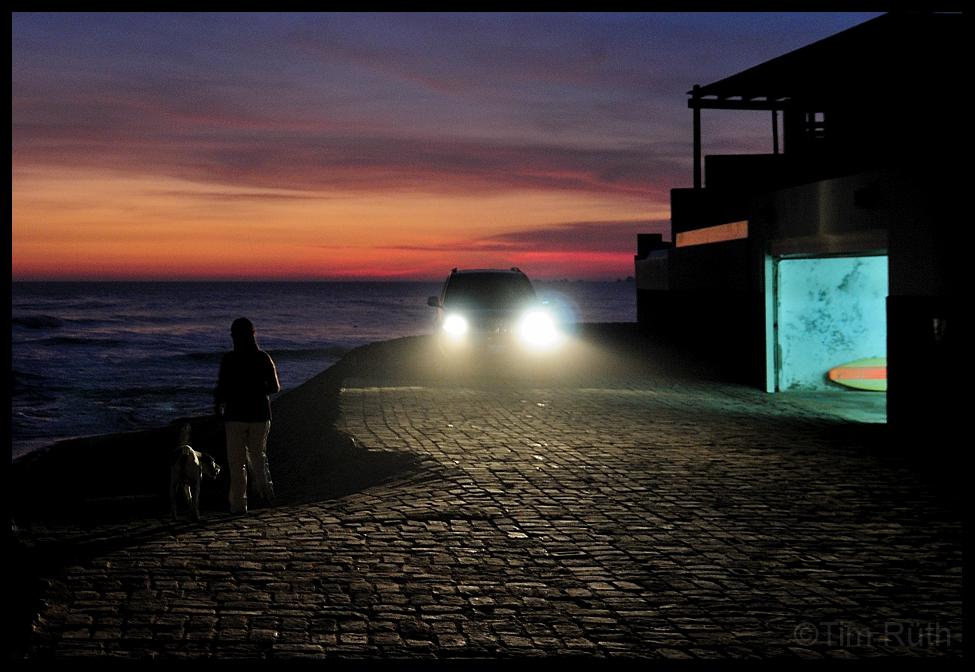 - paseando el perro -