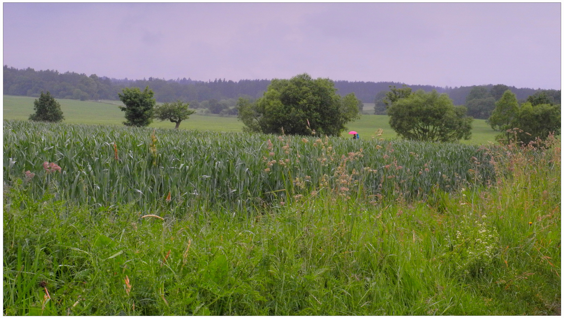 Paseando en la lluvia (Spaziergang im Regen)