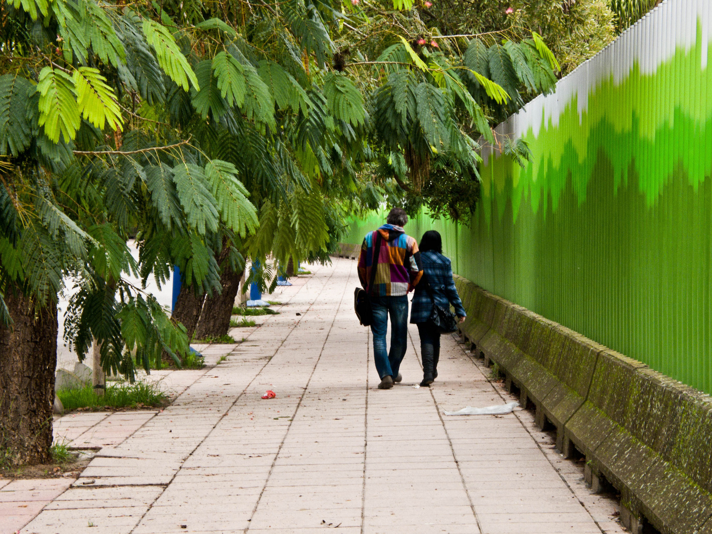 Paseando por el parque