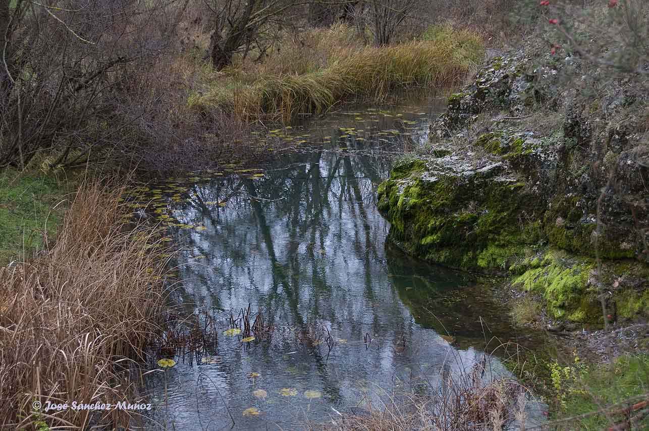 Paseando por el parque de Riolobos (Soria)