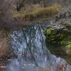 Paseando por el parque de Riolobos (Soria)