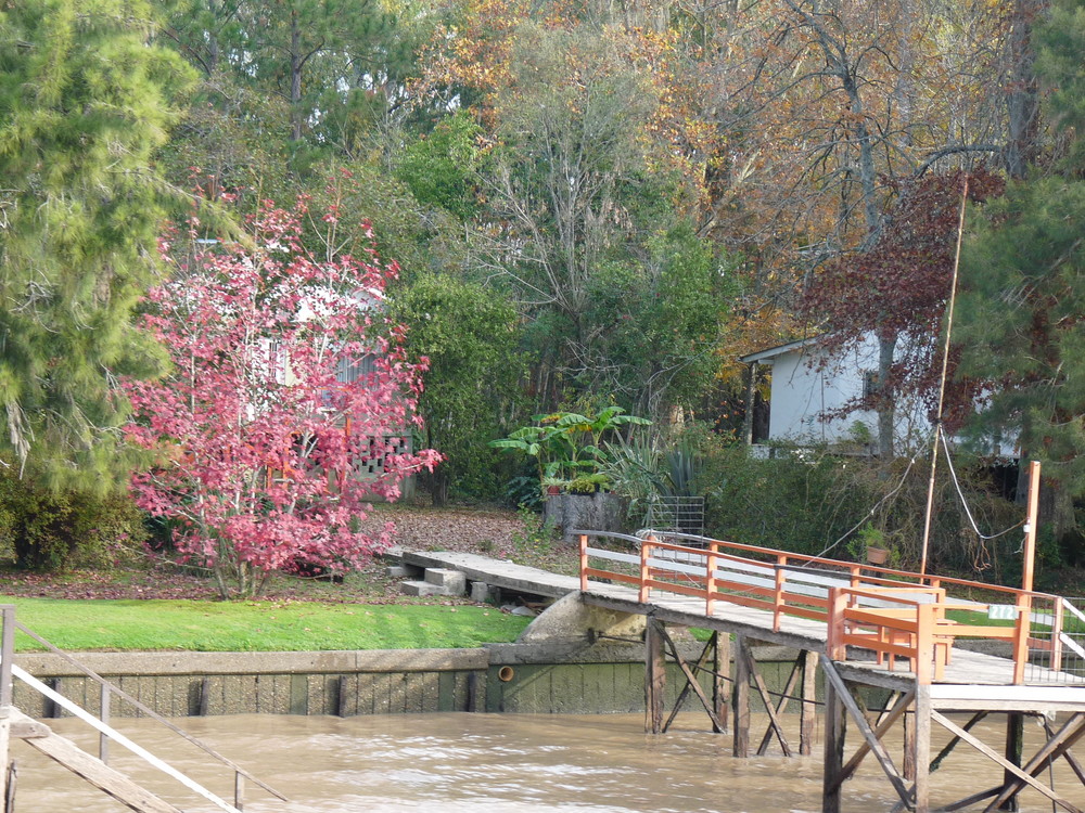 PASEANDO POR EL TIGRE - BUENOS AIRES