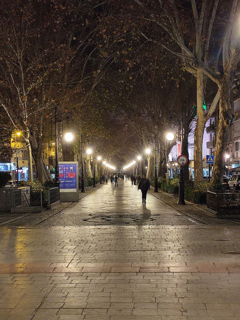 PASEANDO POR GRANADA