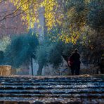 PASEANDO POR GRANADA