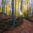 Paseando por la Fageda d´en Jordà