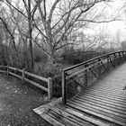 Paseando por Lleida. La Mitjana