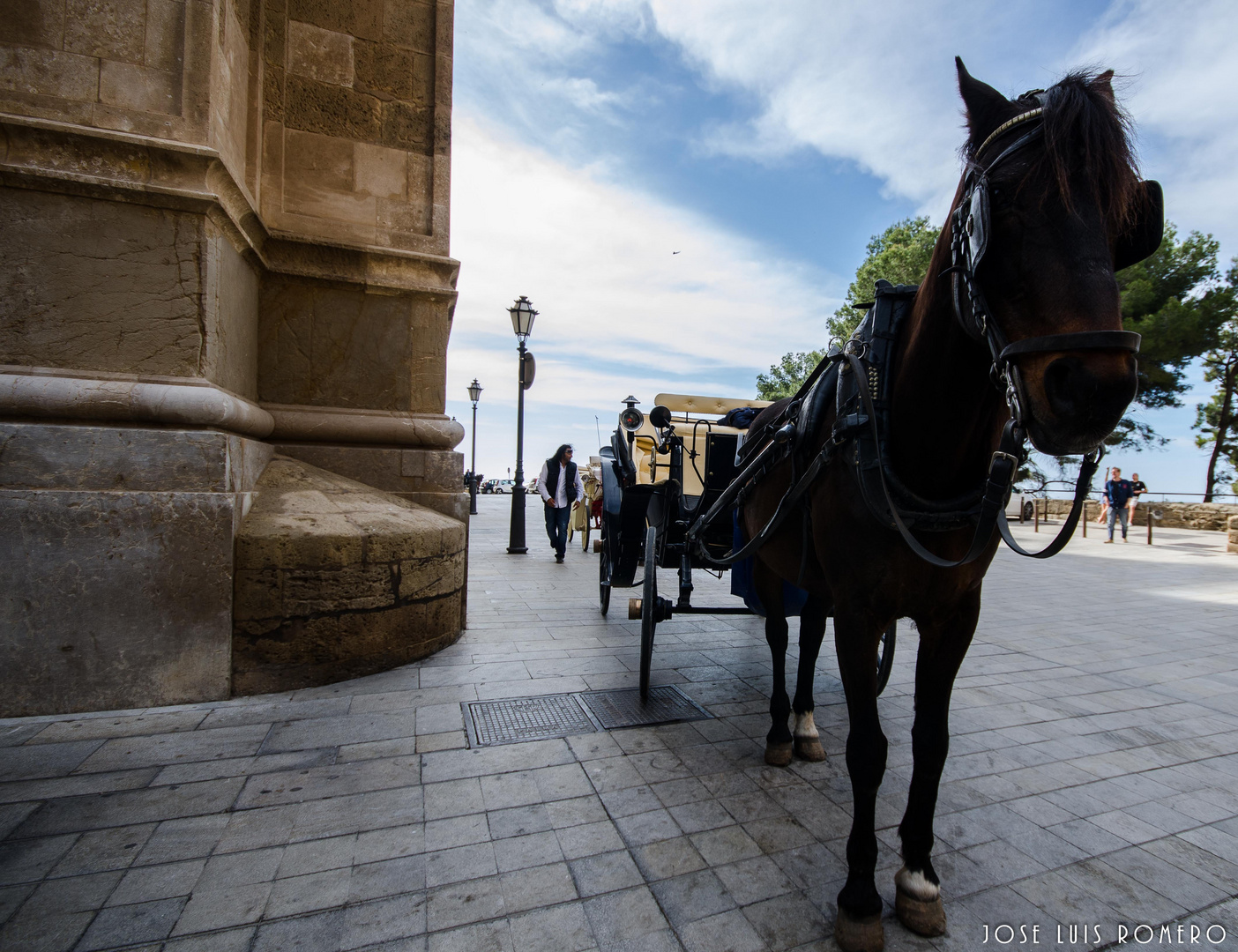 Paseando por Palma IIII