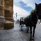 Paseando por Palma IIII