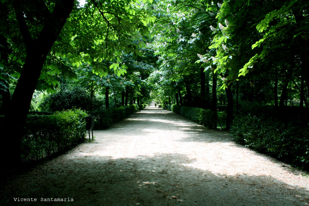 PASEAR POR EL RETIRO