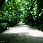 PASEAR POR EL RETIRO