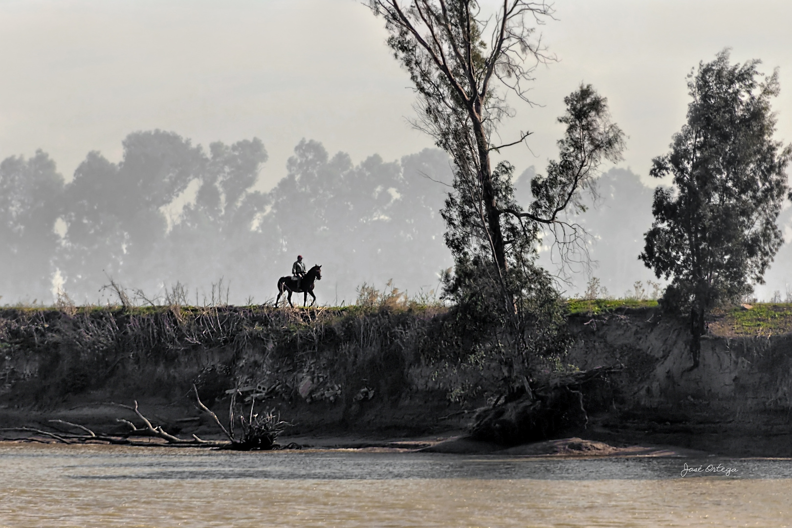 Paseo a caballo