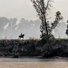 Paseo a caballo