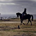 Paseo a caballo por Matalascañas