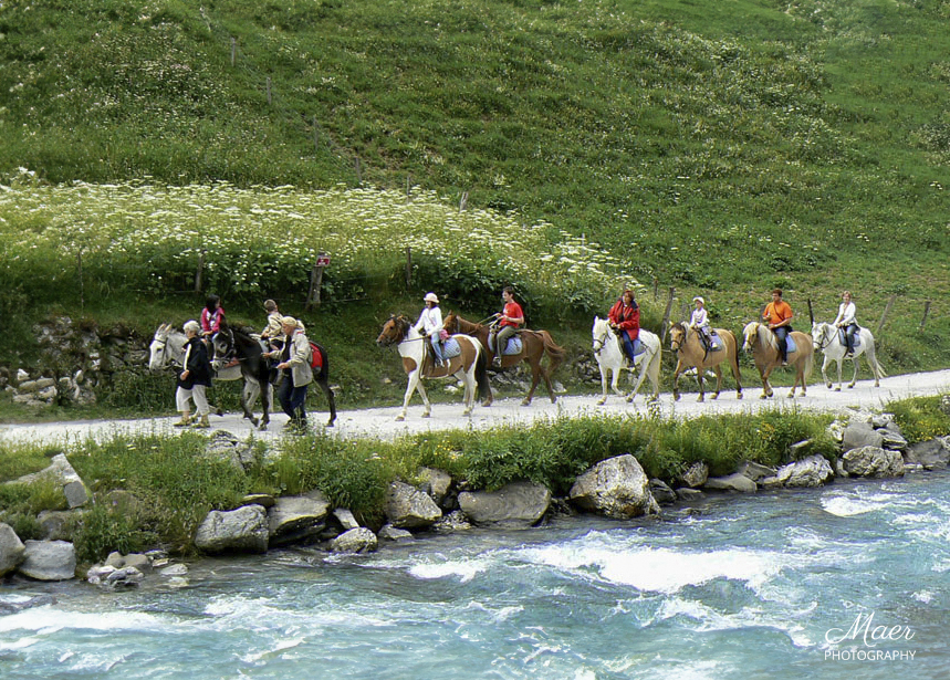 Paseo a caballo.Pirineo francés.