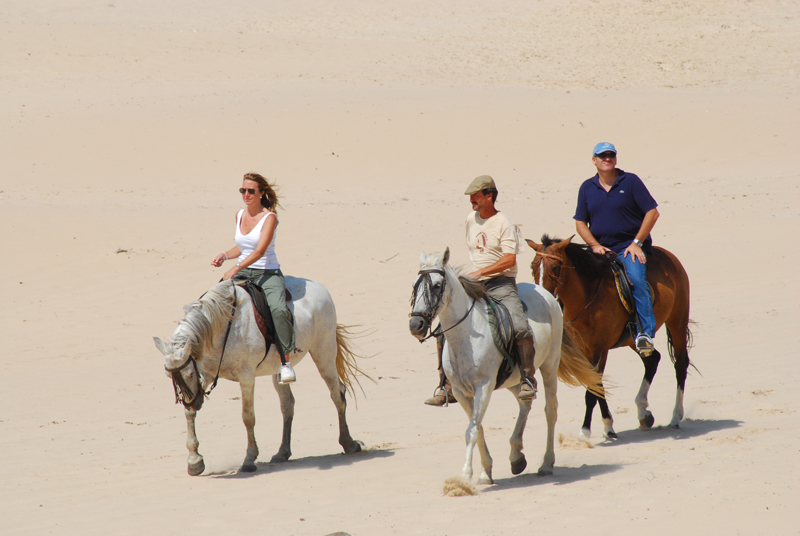 Paseo a caballos en la Playa de Bolonia, Cadiz, España.