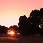 Paseo al atardecer