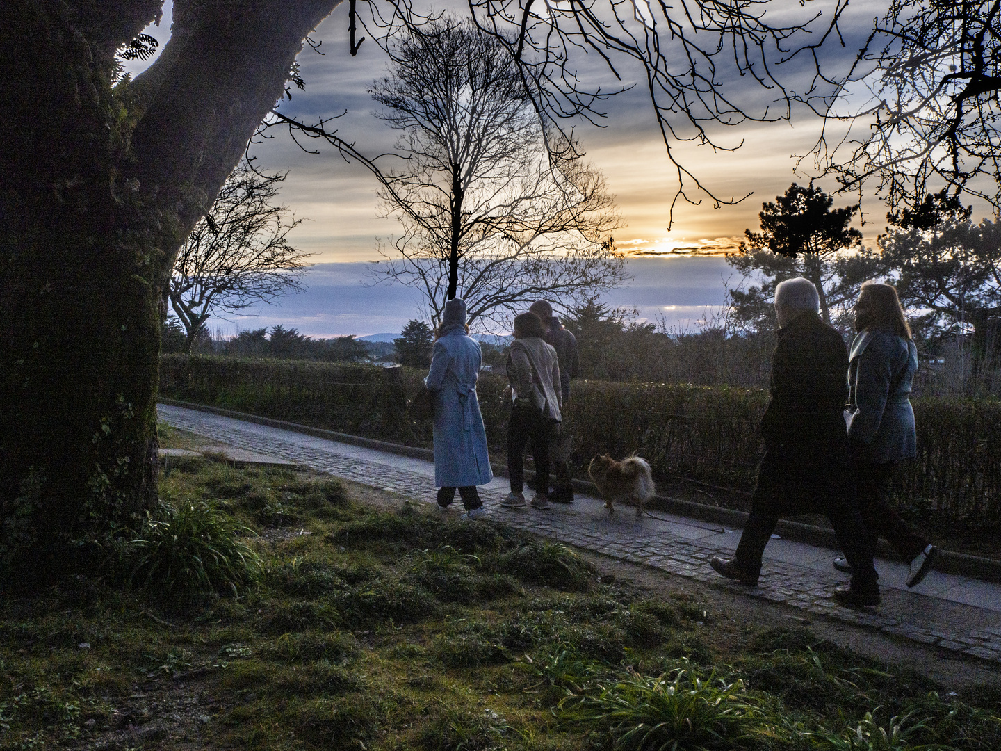 Paseo al atardecer.