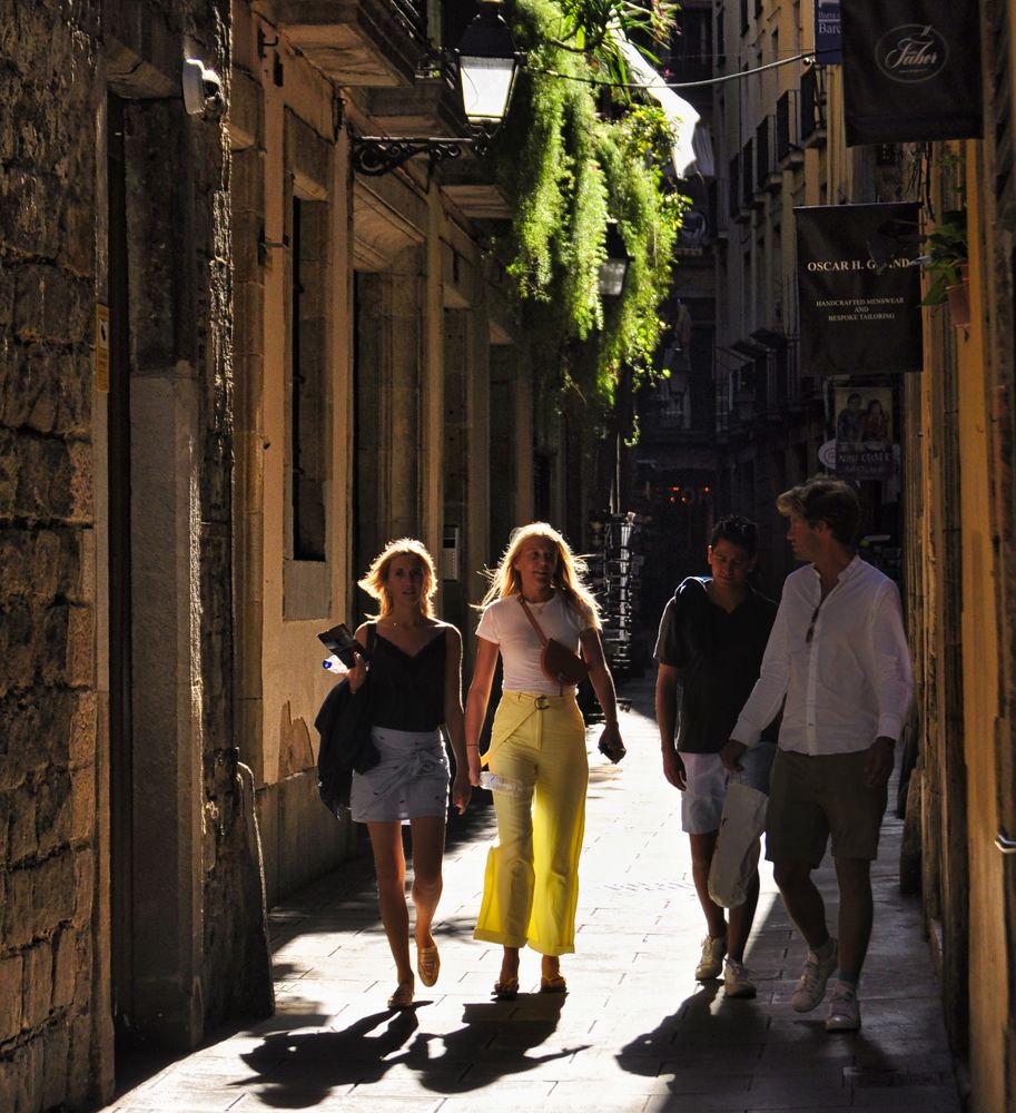 Paseo al contraluz  -  Passeig al contrallum