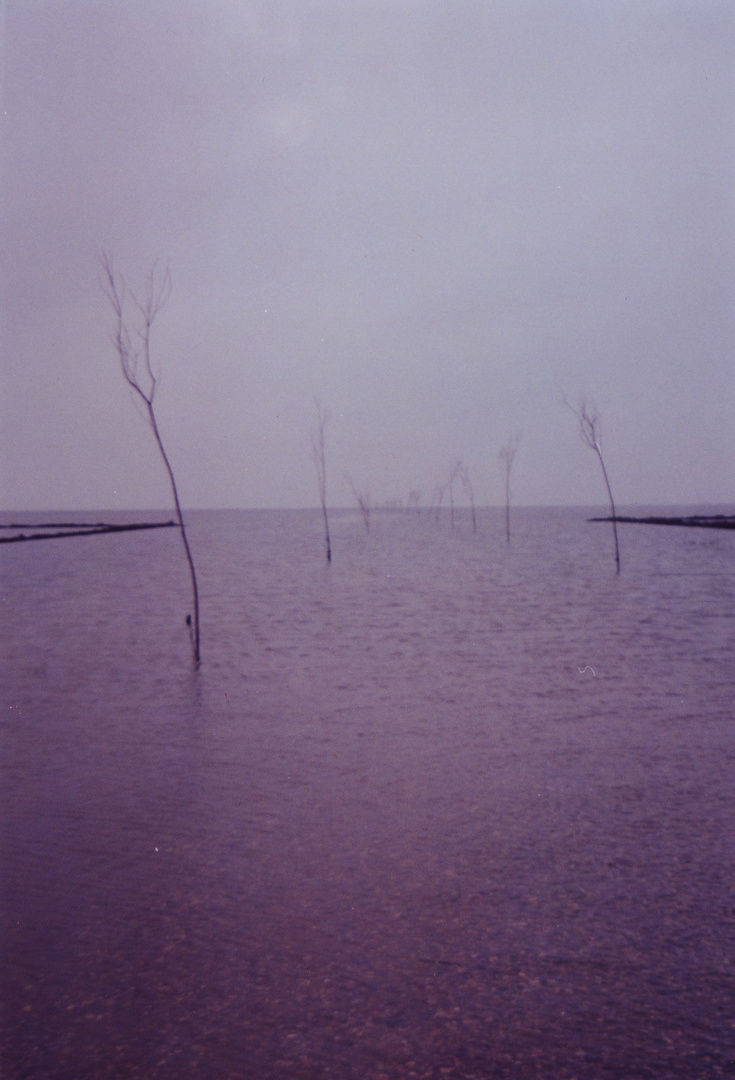 Paseo bajo el mar