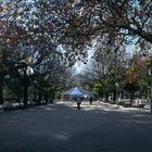 Paseo Central con la pista de hielo de invierno.