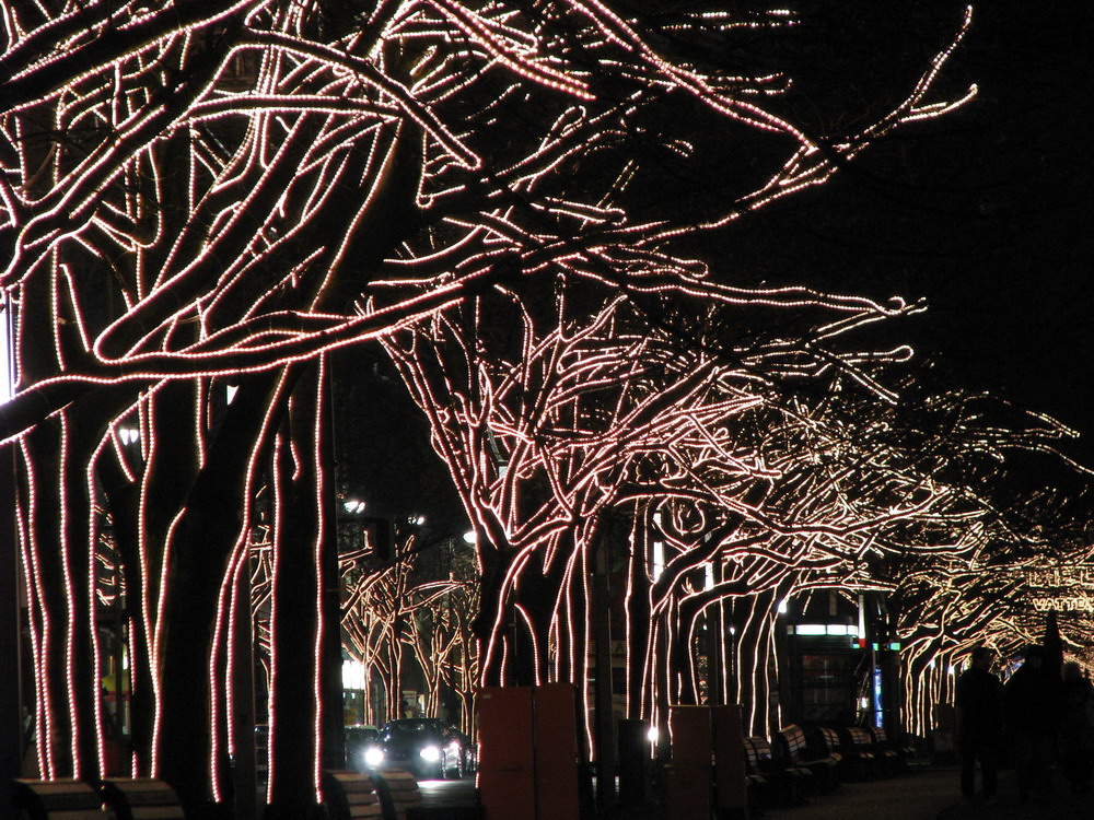 Paseo con árboles. Iluminación de Navidad.