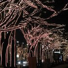 Paseo con árboles. Iluminación de Navidad.