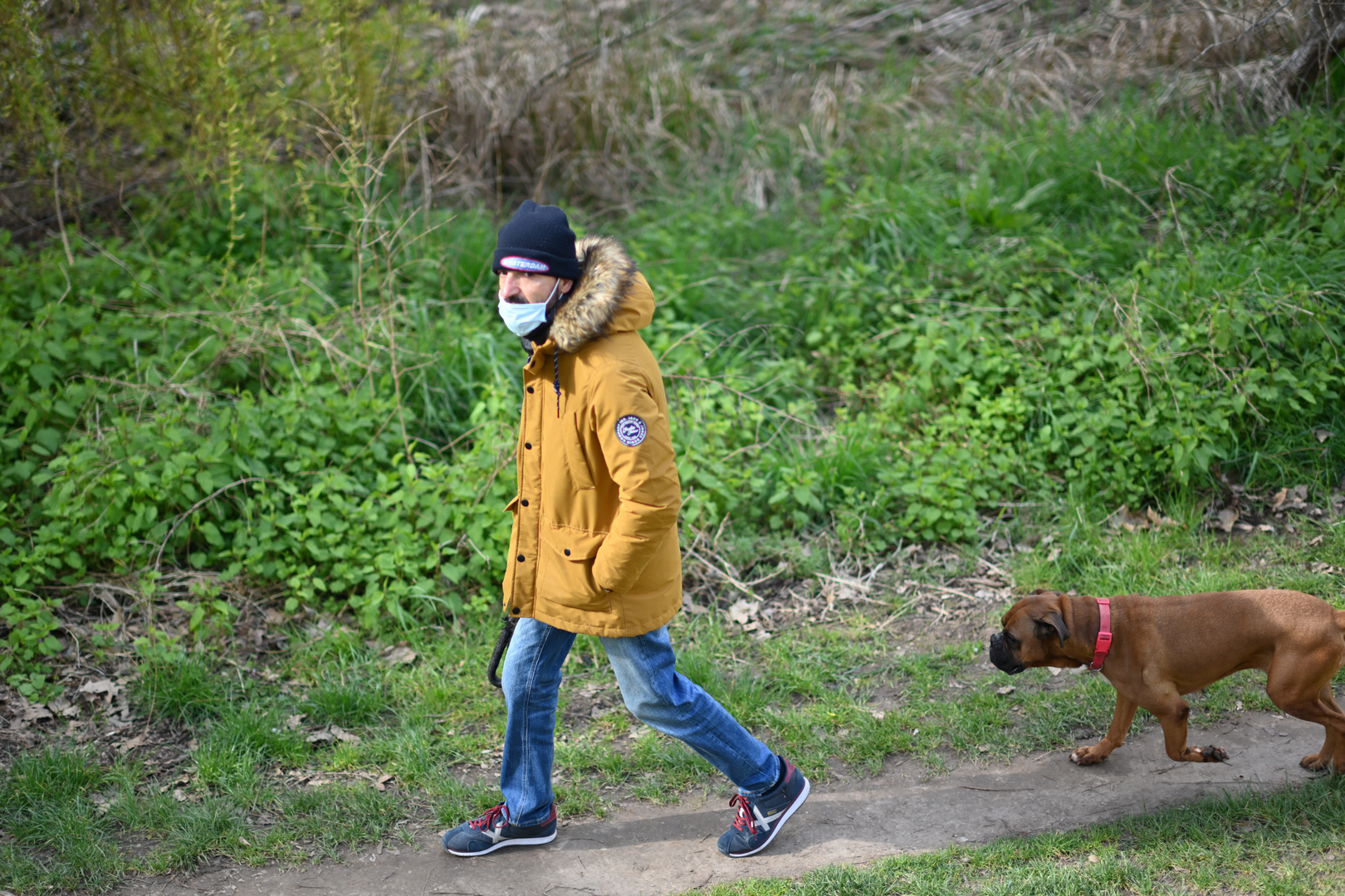 Paseo con perro y con frio