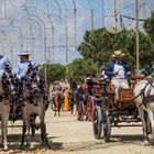 Paseo de Caballos y Enganches en el Real de la Feria