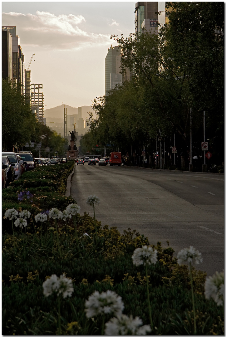 Paseo de la Reforma