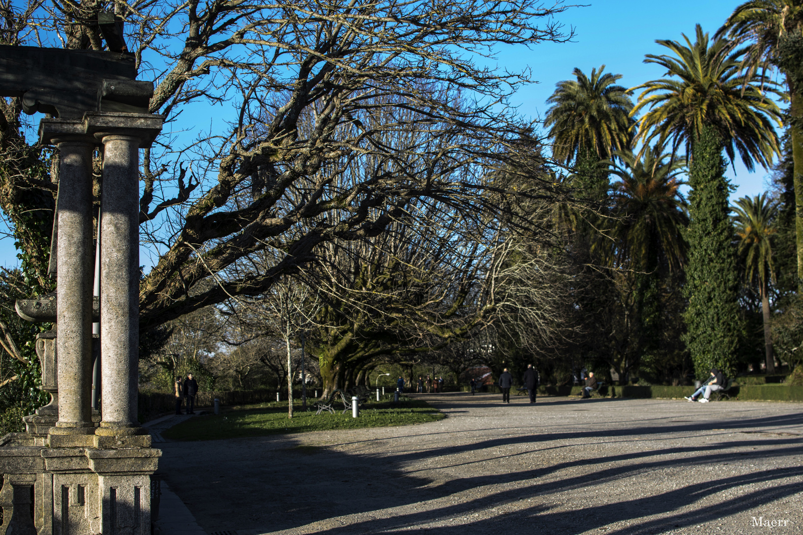 Paseo de Las Palmeras