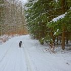 Paseo de Nochevieja con Wicky-Emily (Silvesterspaziergang mit Wicky-Emily)