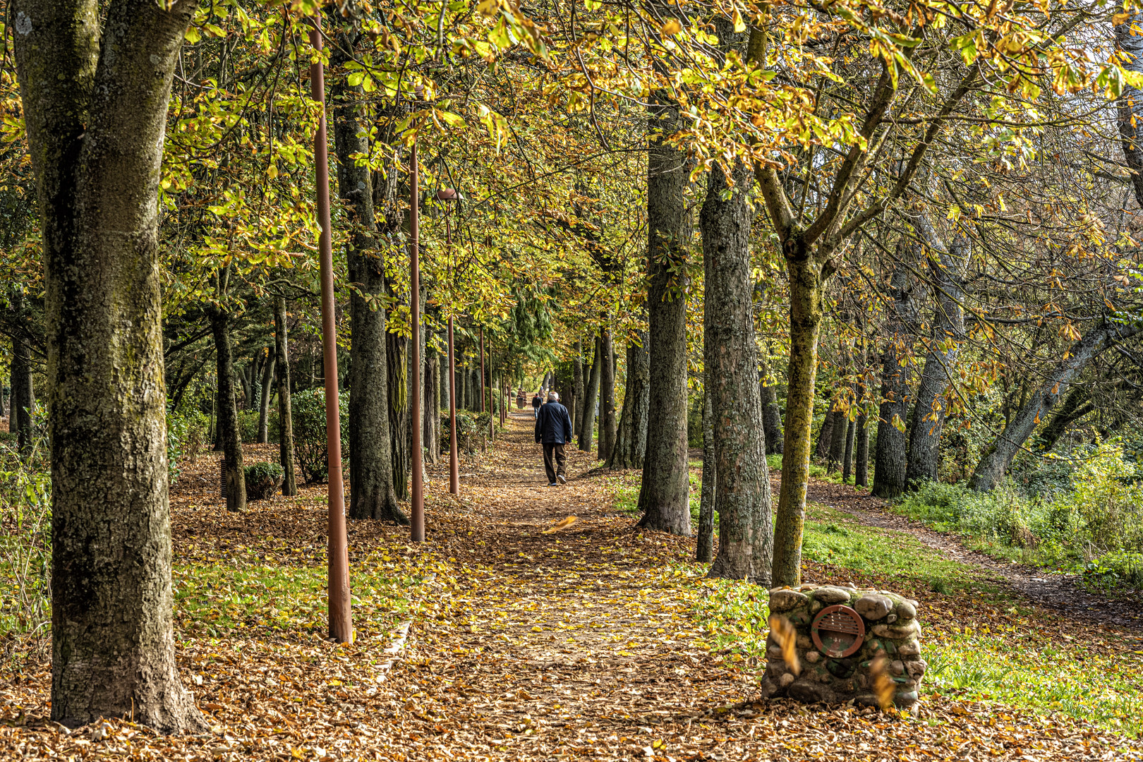 Paseo de Otoño