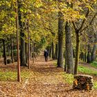 Paseo de Otoño