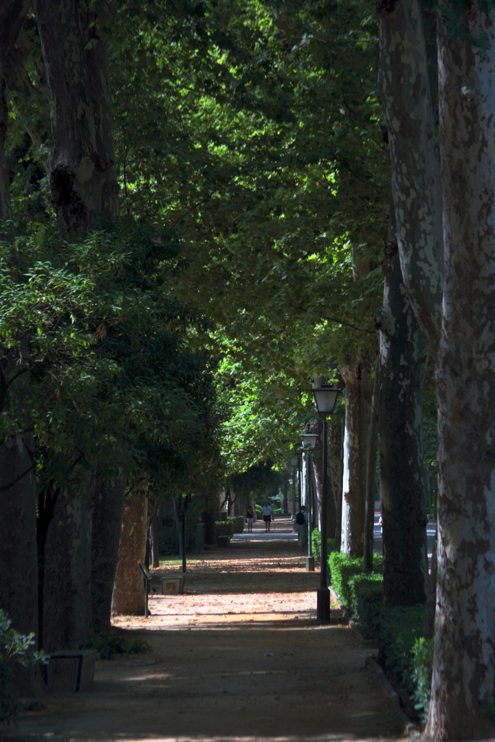 paseo de verano