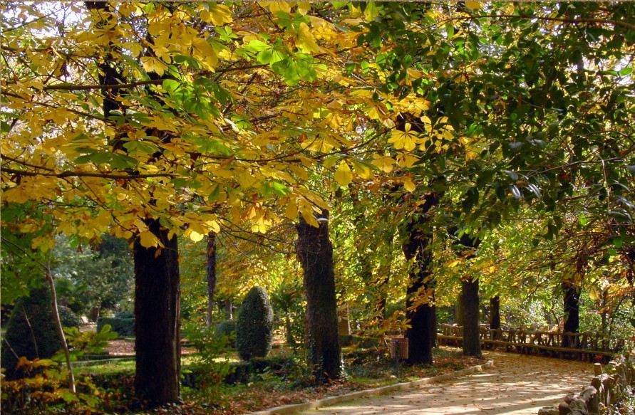 paseo del campo grande en otoño